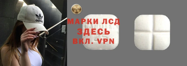 ECSTASY Кулебаки