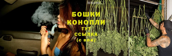 прущие грибы Краснослободск